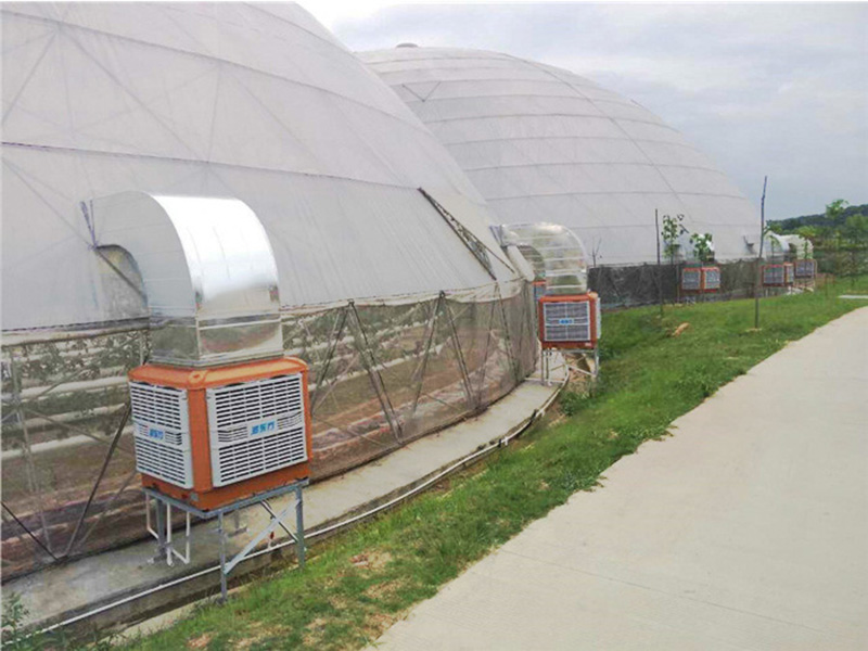 溫室大棚通風降溫設備|潤東方環(huán)保空調(diào)
