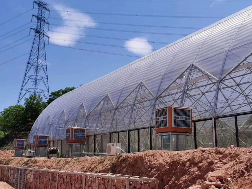 車間如何降溫？什么通風降溫設(shè)備節(jié)能省電