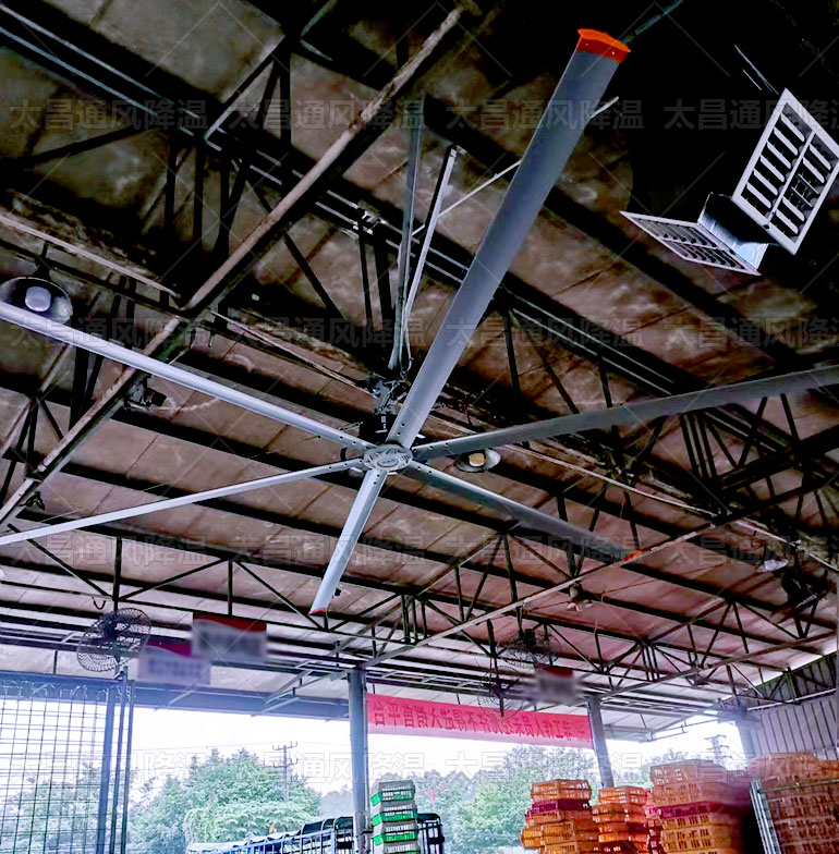 工業(yè)大風(fēng)扇有幾種，看完這些你就知道了