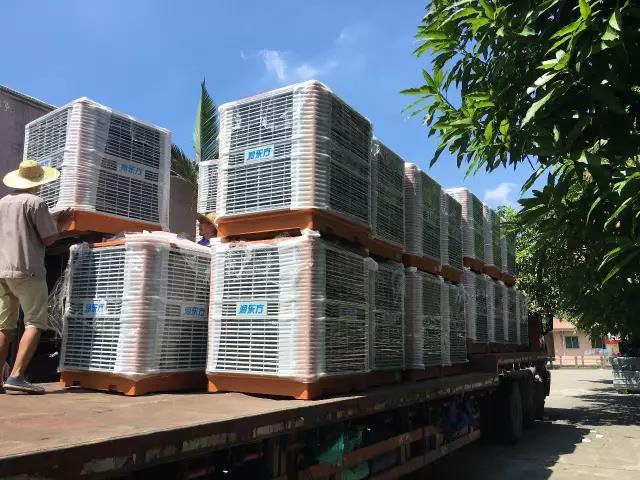 工廠車間快速降溫方法，你知道嗎？